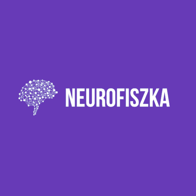 Project 'Neurofiszka' Image